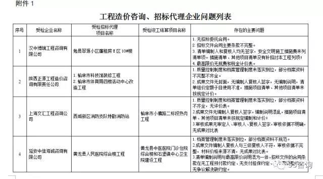 工程造價咨詢、招標代理企業(yè)問題列表